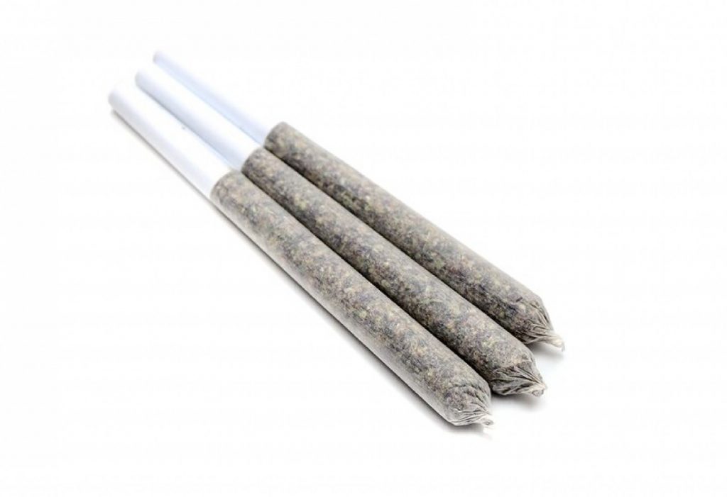three grape jelly donut sitka pre rolls cannabis joints arranged parallel to each other on a white background. The joints are semi-transparent, showing the finely ground herbal contents inside, and each is sealed with a white paper tip at one end.





