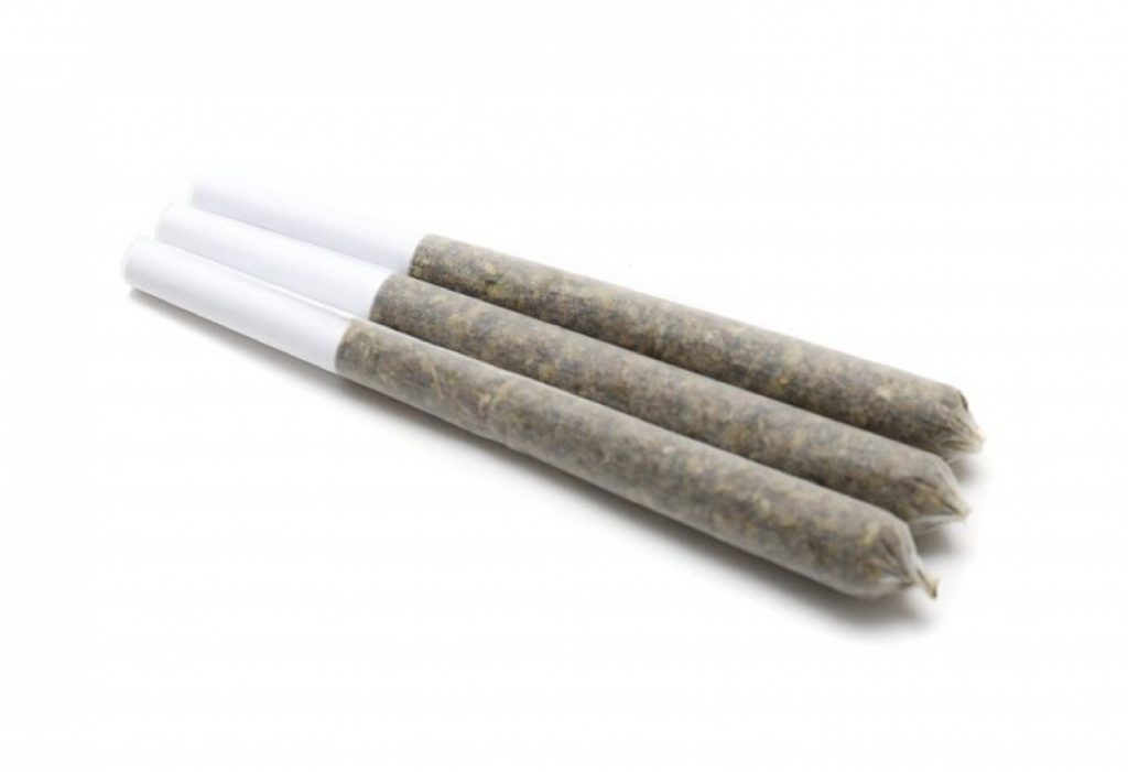 three sundae driver sitka pre rolls cannabis joints arranged parallel to each other on a white background. The joints are semi-transparent, showing the finely ground herbal contents inside, and each is sealed with a white paper tip at one end.





