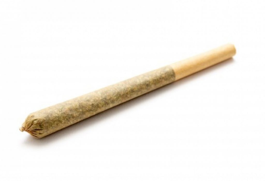 a single zkittlez glue sitka pre roll cannabis joint on a white background. The joint is semi-transparent, showing the finely ground herbal contents inside