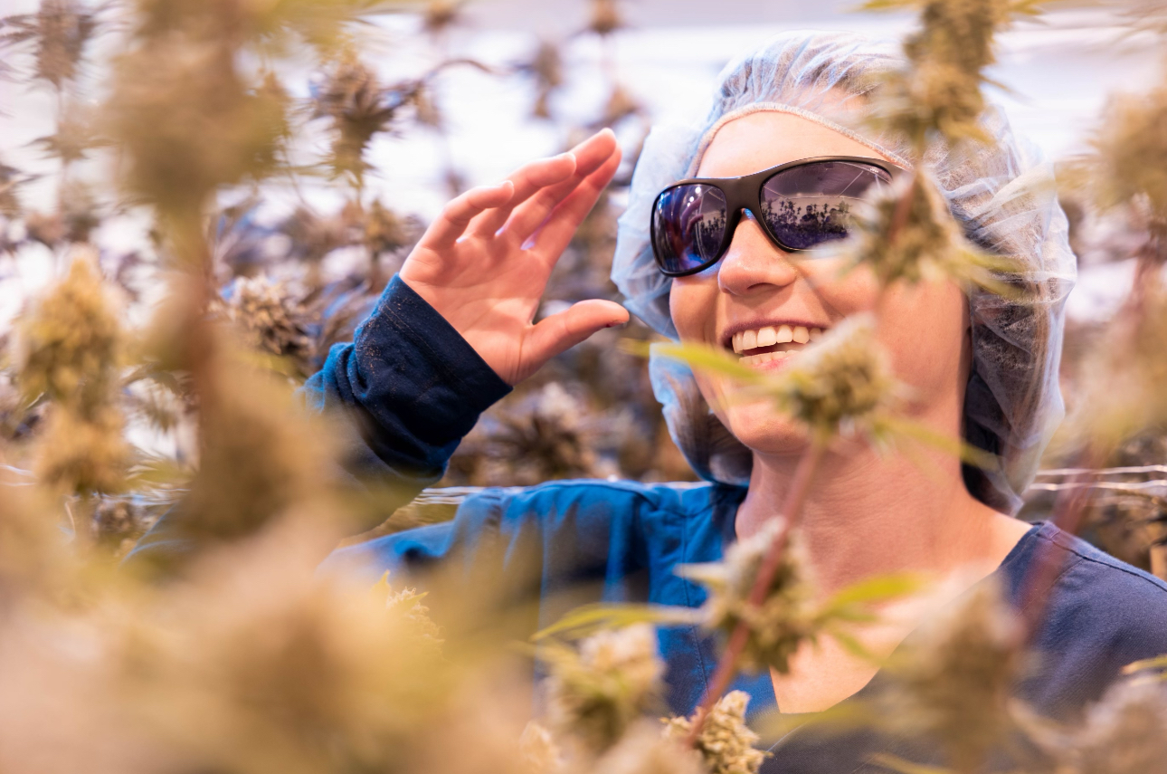Kyra Horvath, Founder and Master Grower of Pineapple Buds, is surrounded by lush cannabis plants wearing a hairnet, sunglasses, and a blue jacket.